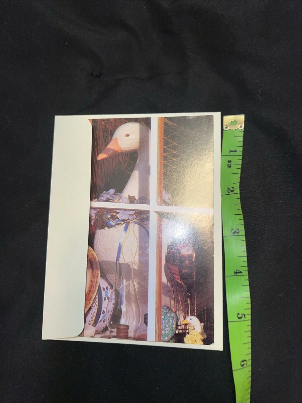 Goose Greeting Card - Picture 8 of 9